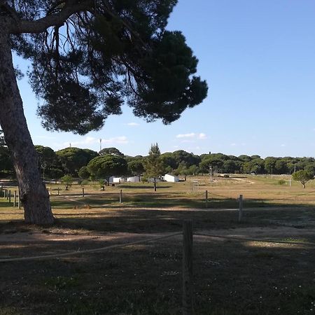 Beach Falesia Alfamar Албуфейра Екстериор снимка